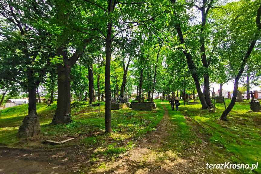Krosno. Nagrobki powrócą na stary cmentarz. Po konserwacji