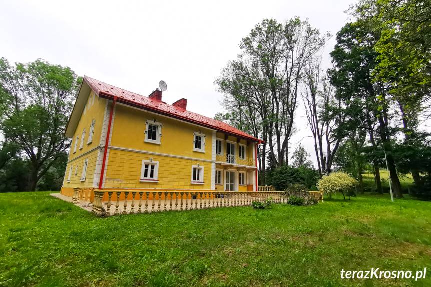 Co się stanie z dworem i parkiem w Łękach Strzyżowskich?