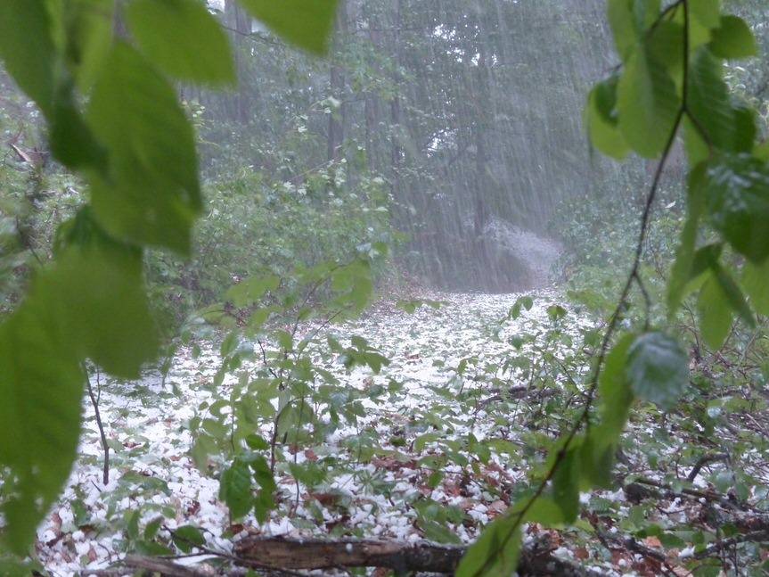 Ostrzeżenie meteo przed burzami i gradem