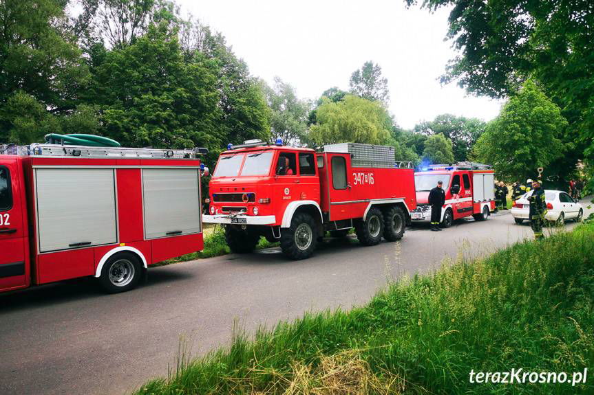 Poszukiwania zaginionego mężczyzny
