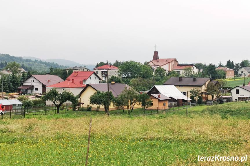 Pożar w domu w Leśniówce
