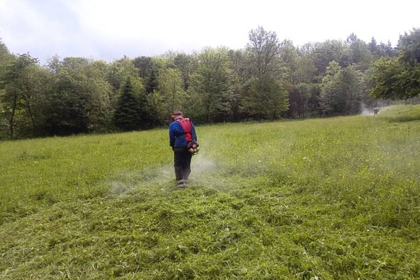 REGION. Leśne sianokosy w Bieszczadach