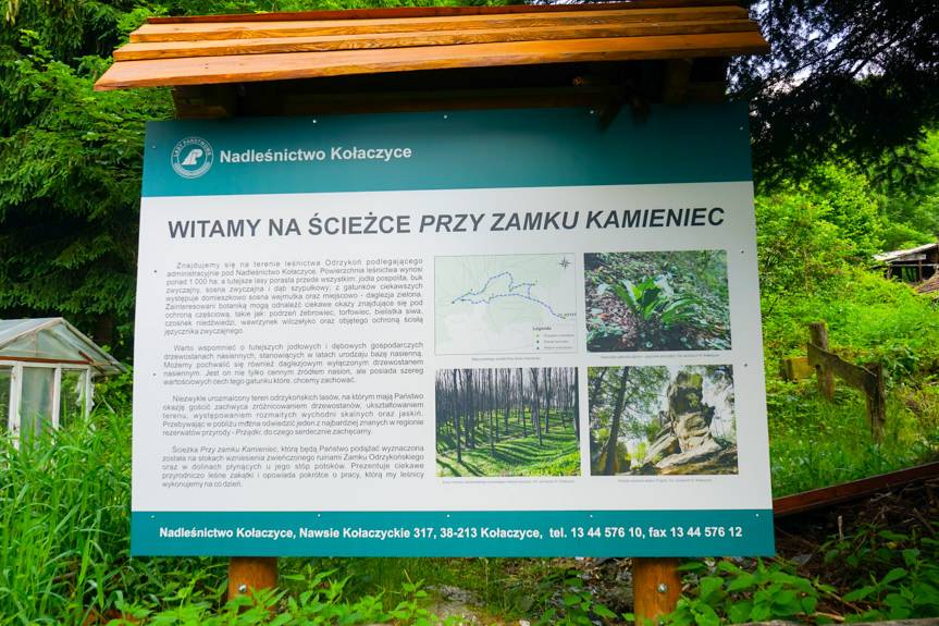 Atrakcja dla turystów. Odnowiona ścieżka przy Zamku Kamieniec