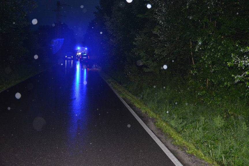 Rowerzysta zderzył się z sarną