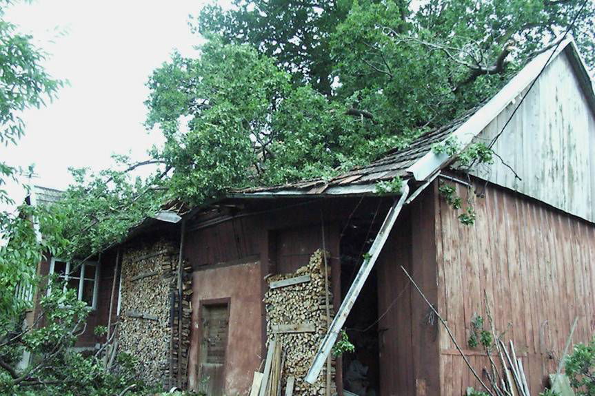 W Krośnie i powiecie krośnieńskim…