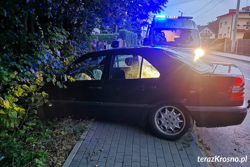 Wypadli z drogi i uderzyli w drzewo