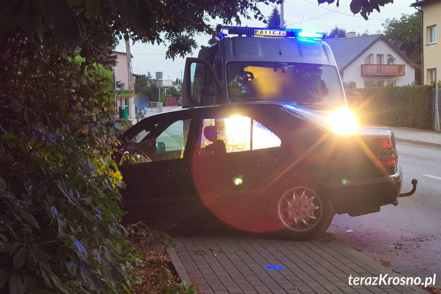 Wypadli z drogi i uderzyli w drzewo