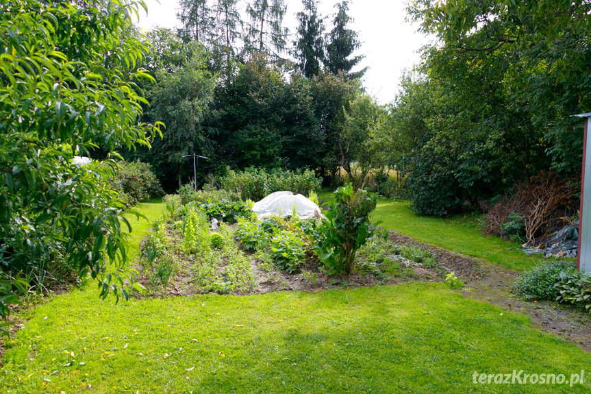 To będzie ich nowy dom. W Ustrobnej