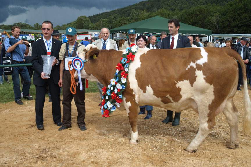 W Krośnie i w powiecie krośnieńskim...