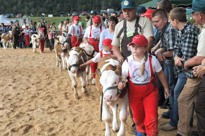W Krośnie i w powiecie krośnieńskim...