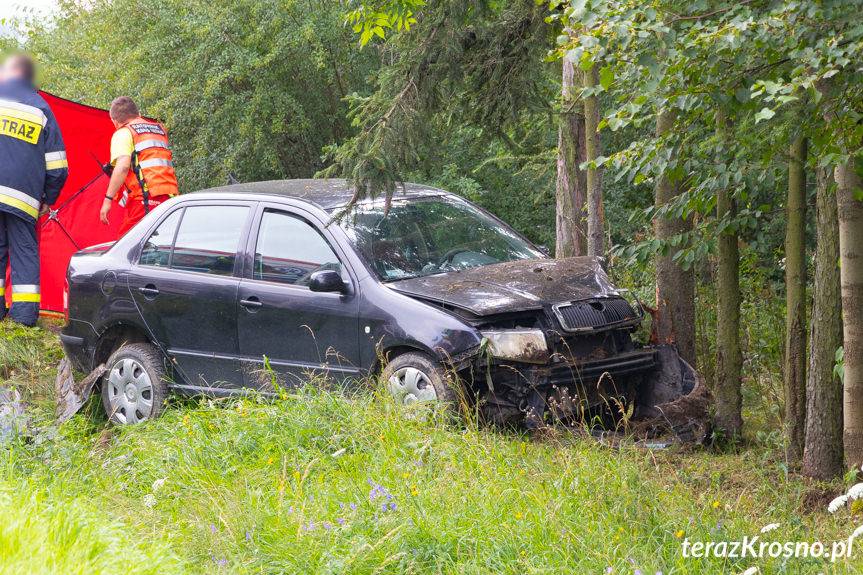 REGION. Wypadek w Besku, kierowca reanimowany