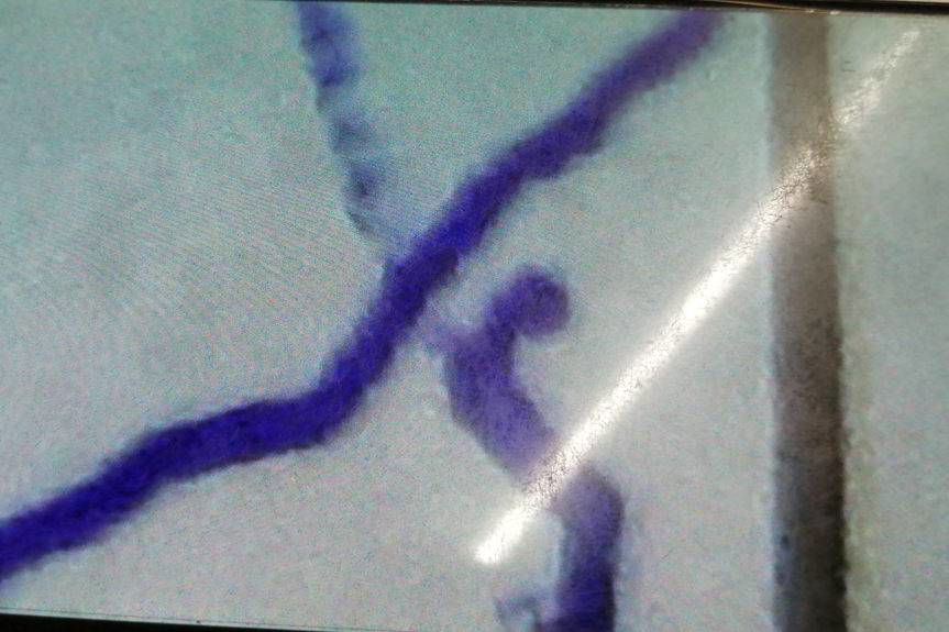 Sąd zdecydował o kolejnym proteście wyborczym Tadeusza Pelczara