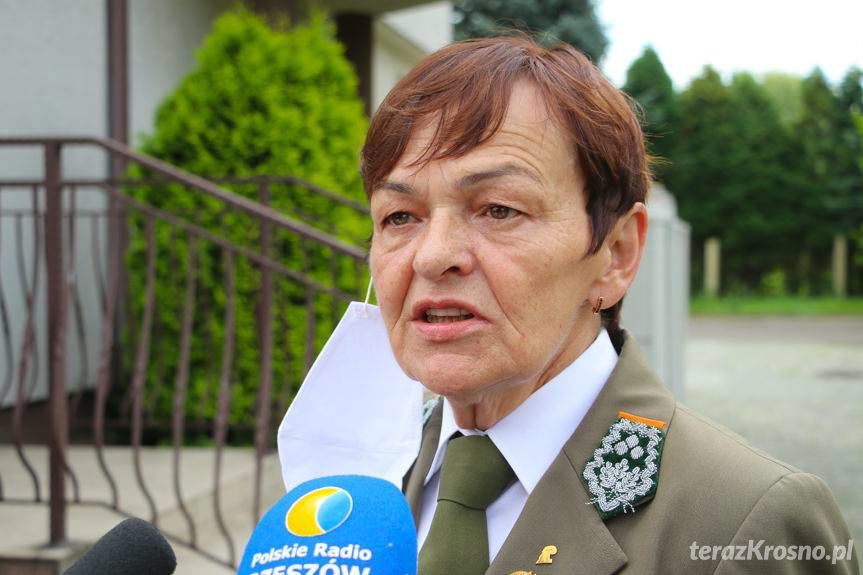 Dzikie Karpaty blokują Lasy Państwowe w Krośnie