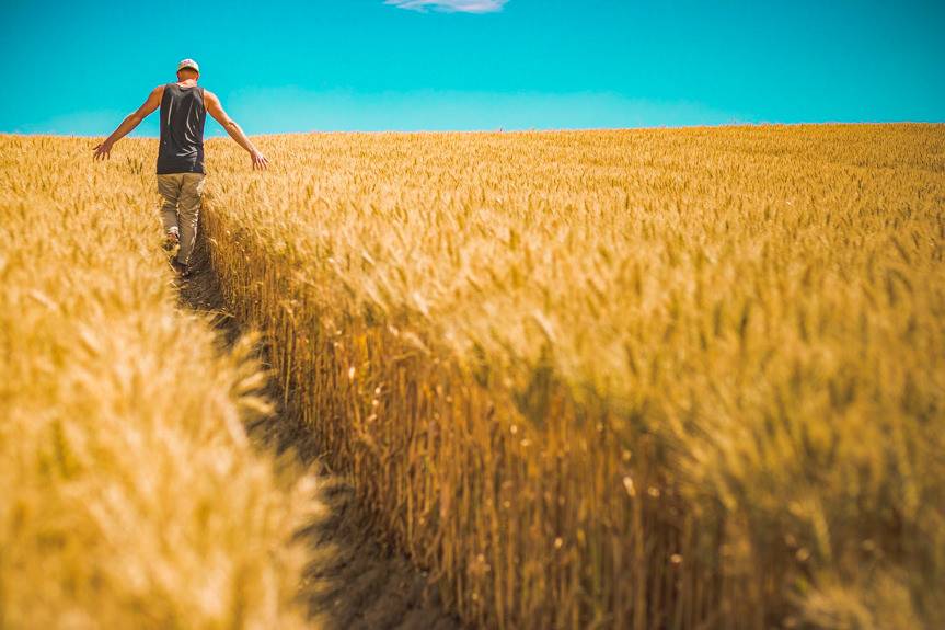 Ważne dla rolników z Krosna