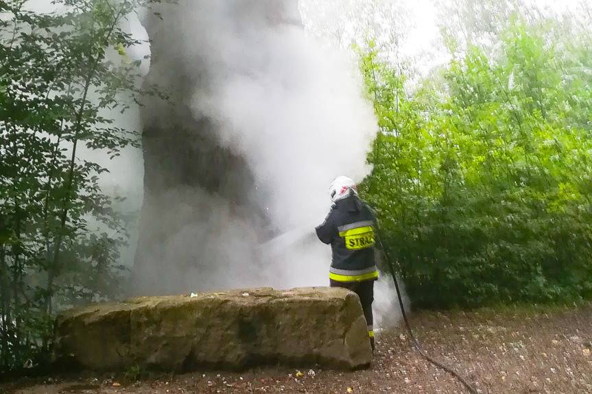 Palił się dąb Wincenty w Krościenku Wyżnym