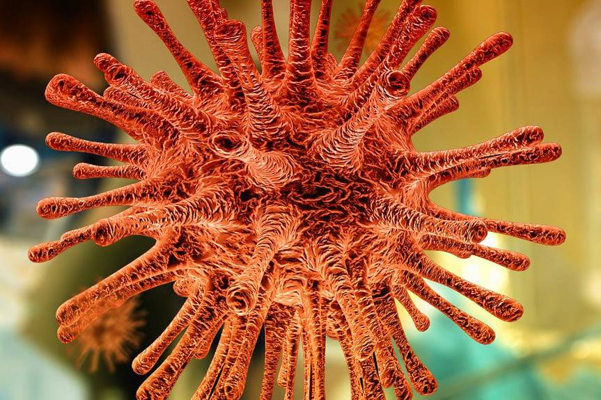 Koronawirus. Kolejne zakażenie w powiecie krośnieńskim