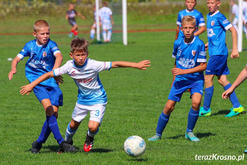 Beniaminek Profbud Krosno - Karpaty MOSiR Krosno 8:0 (6:0)