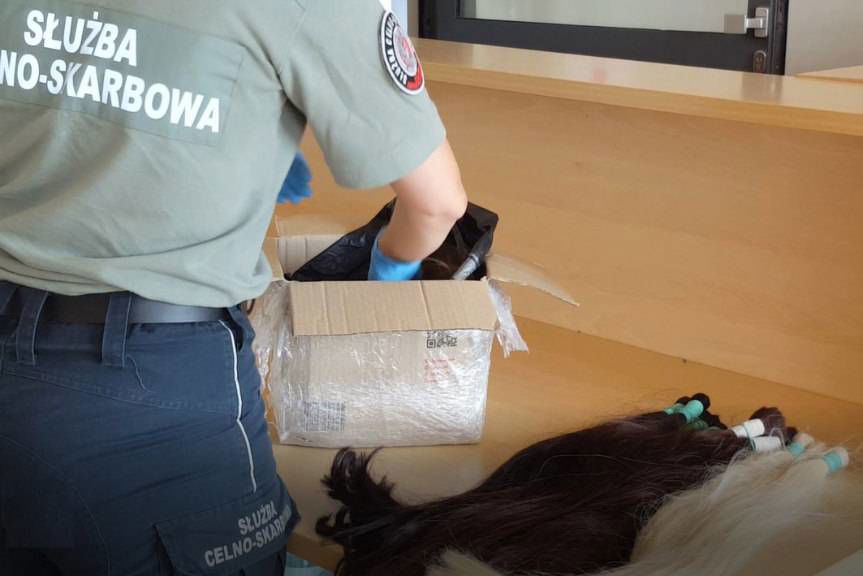 REGION. Przemycał ludzkie włosy