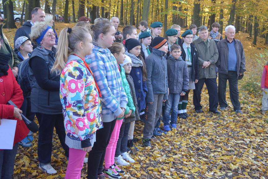 W Krośnie i w powiecie krośnieńskim…