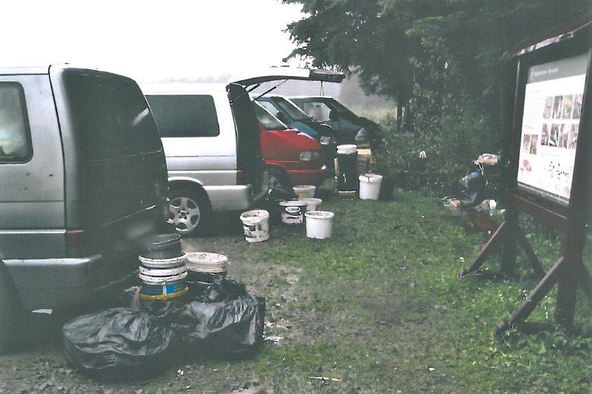 Najazd grzybiarzy z Rumunii. Sprawa trafiła do prokuratury