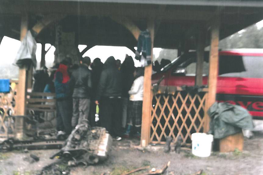 Najazd grzybiarzy z Rumunii. Sprawa trafiła do prokuratury