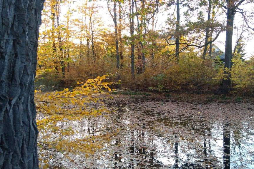Krościenko Wyżne. Nie chcą takiego ogrodzenia stawu w Dębinie