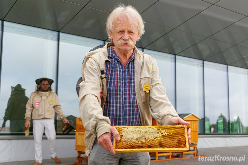 Krosno. Zaproszenie na konferencje pszczelarską