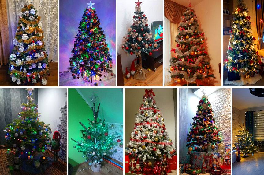 Tak wyglądają Wasze choinki. Są wspaniałe!