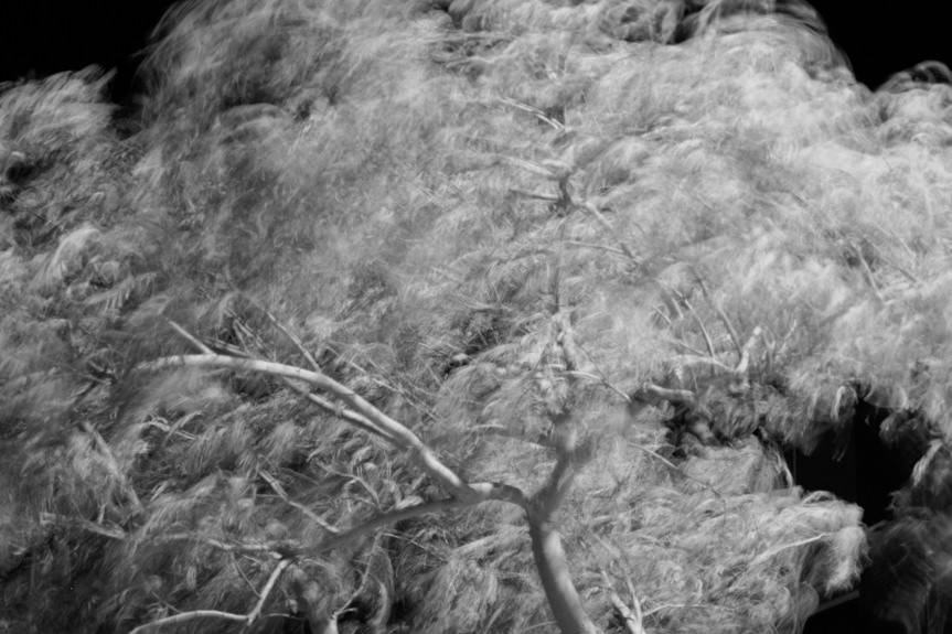 Ostrzeżenie. W nocy i jutro może silnie powiać