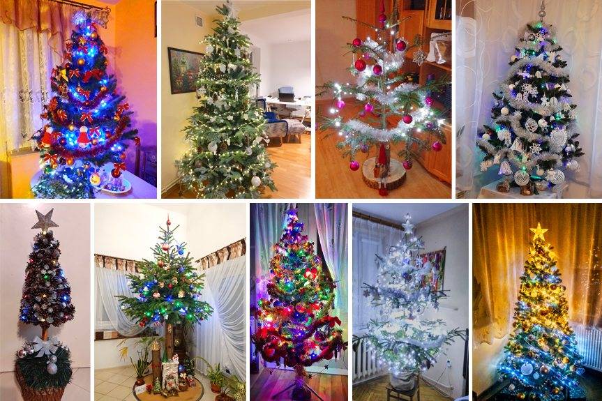 Wasze choinki są piękne! NOWE ZDJĘCIA