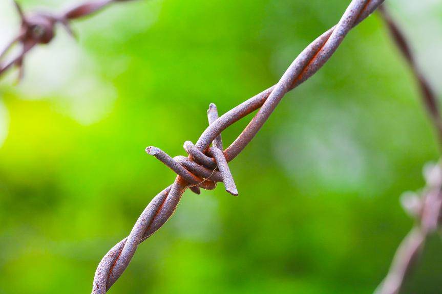 REGION. Rzeźnik z Turcji zatrzymany w Polsce