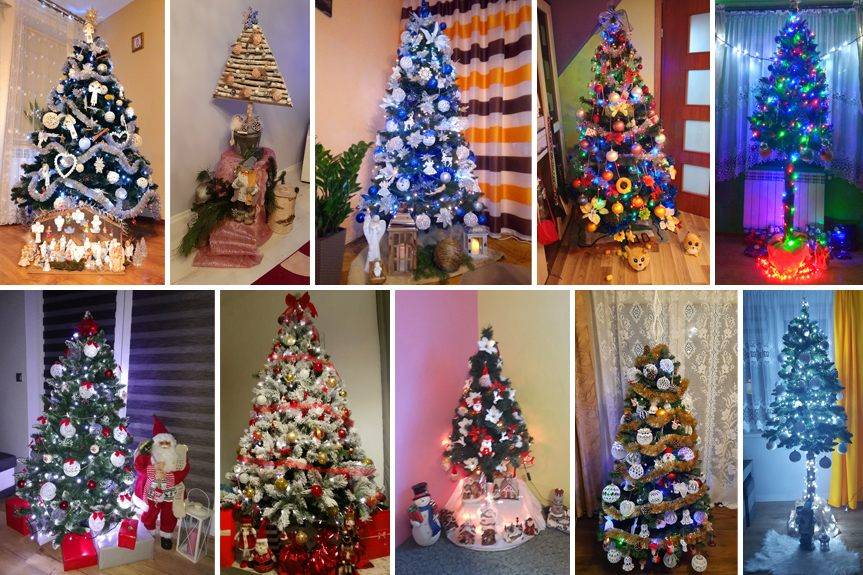 Zobaczcie galerię tegorocznych choinek naszych czytelników