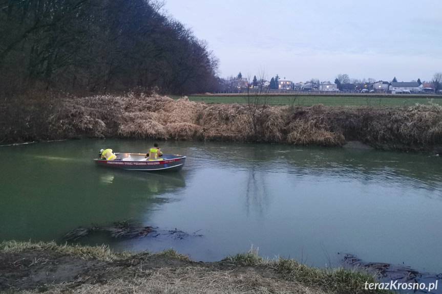 Poszukiwania nad Wisłokiem