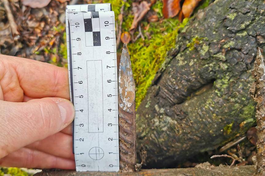 REGION. Zabójcze kolce na leśnym szlaku