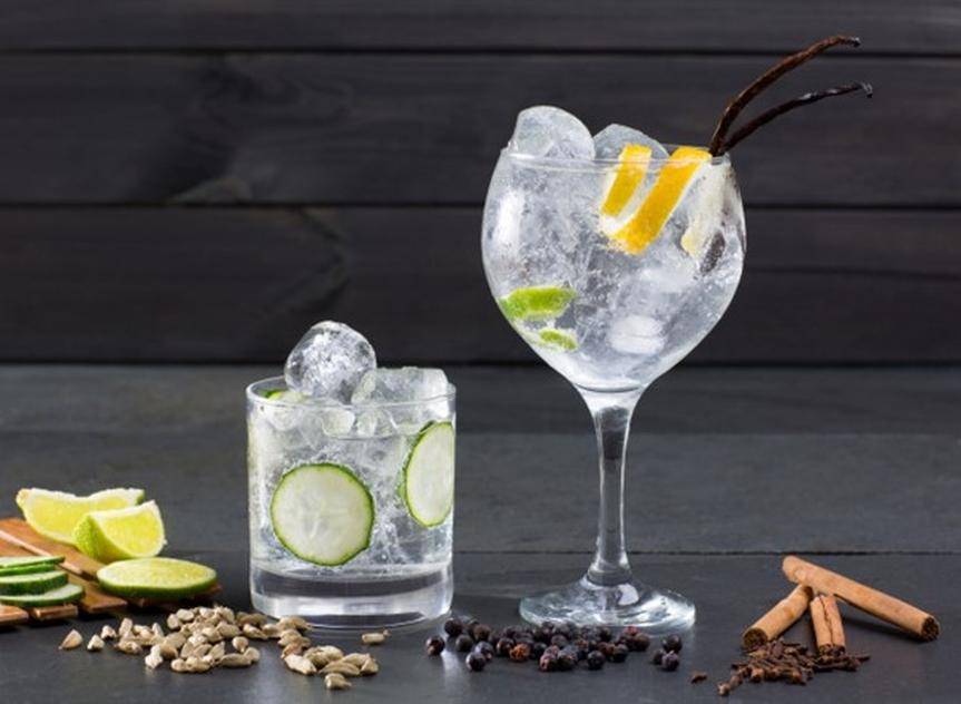 Gin - czym kierować się przy jego wyborze?