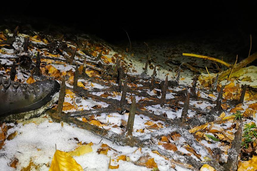 REGION. Zabójcze brony na szlaku w lesie