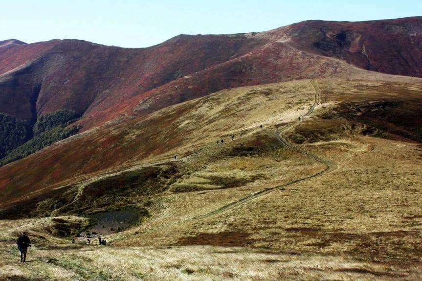 Spotkania z fotografami - online