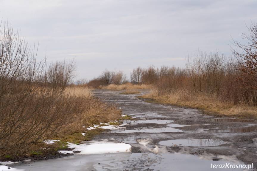 Historyczny moment dla Krosna