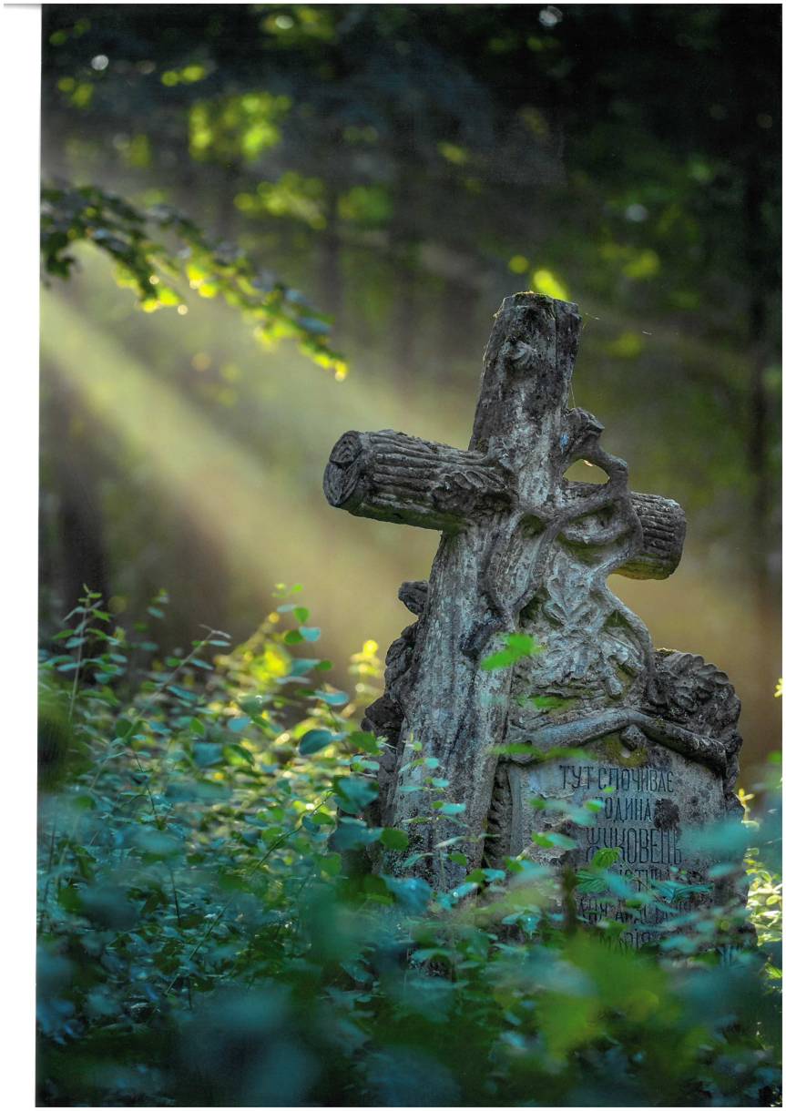 Znamy laureatów konkursu "Leśne Fotografie"