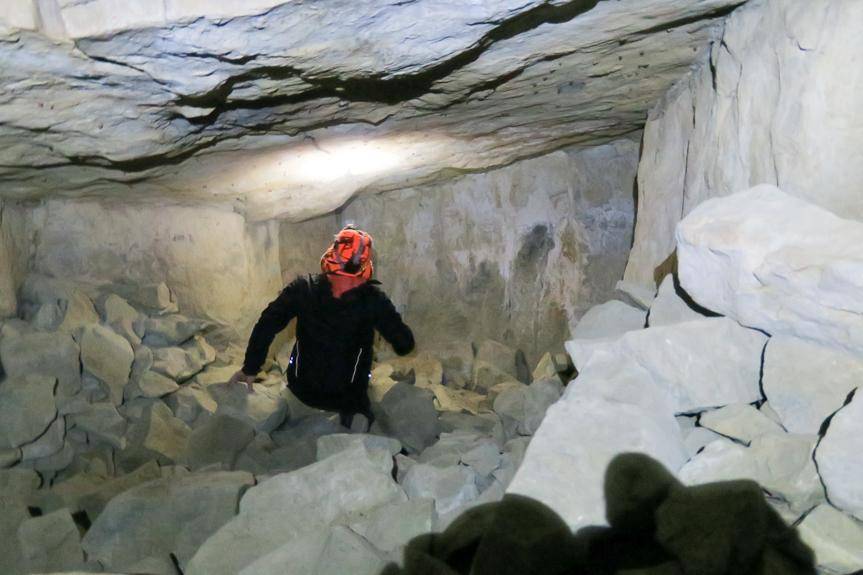 REGION. Liczą nietoperze w sztolniach