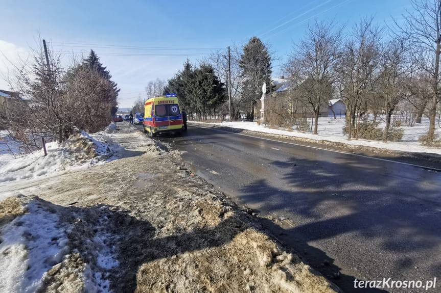 Potrącenie dwójki pieszych w Świerzowej Polskiej