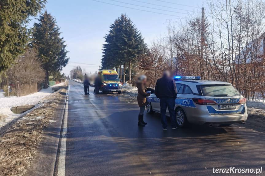 Potrącenie pieszych w Świerzowej Polskiej. Znamy więcej szczegółów