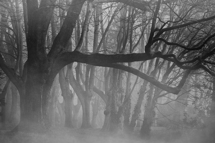 Tragiczna śmierć 26-latka