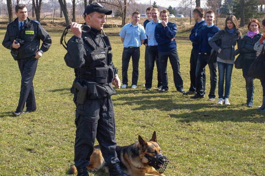 W Krośnie i w powiecie krośnieńskim…