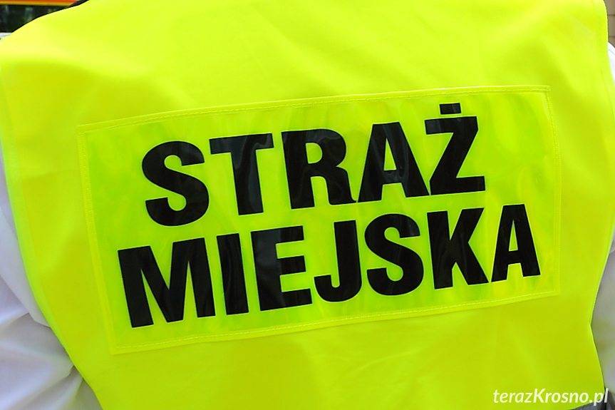 Straż Miejska rozpoczyna kontrole w domach