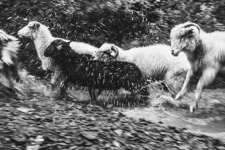 Z punktu widzenia... spotkanie z Łukaszem Grudyszem