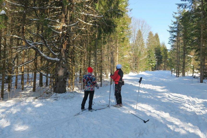Chrystus Frasobliwy z nartami autorstwa Jana Juchy z Rogów