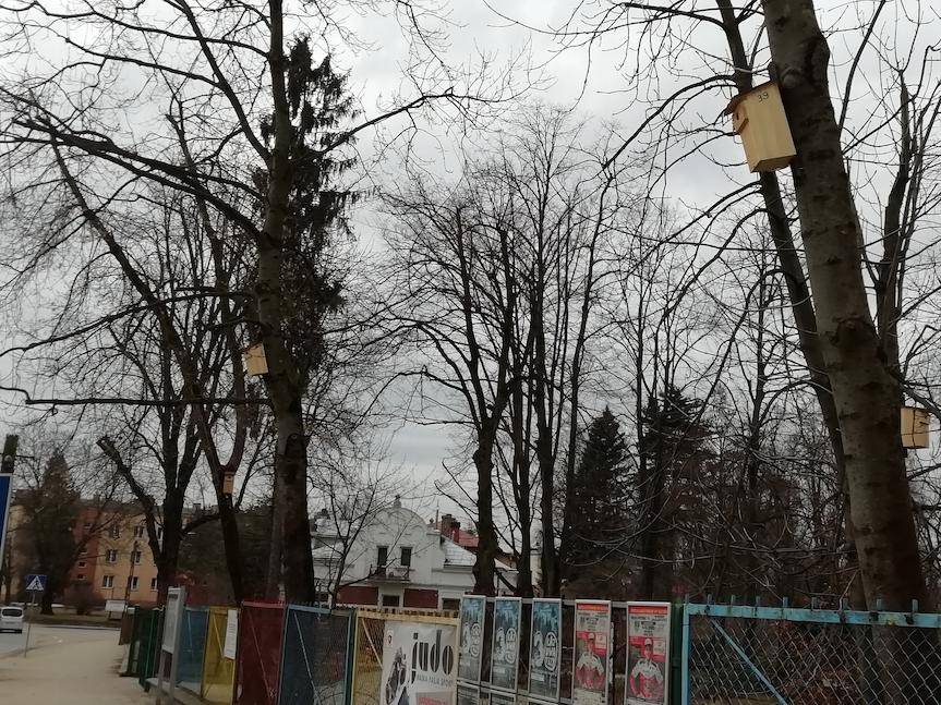 100 budek dla ptasiej dzielnicy