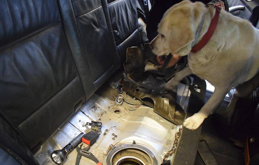 REGION. Luna znowu miała nosa