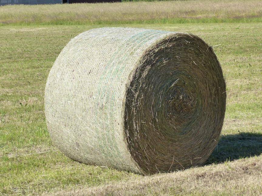 REGION. Nastolatkowie podpalili bale siana